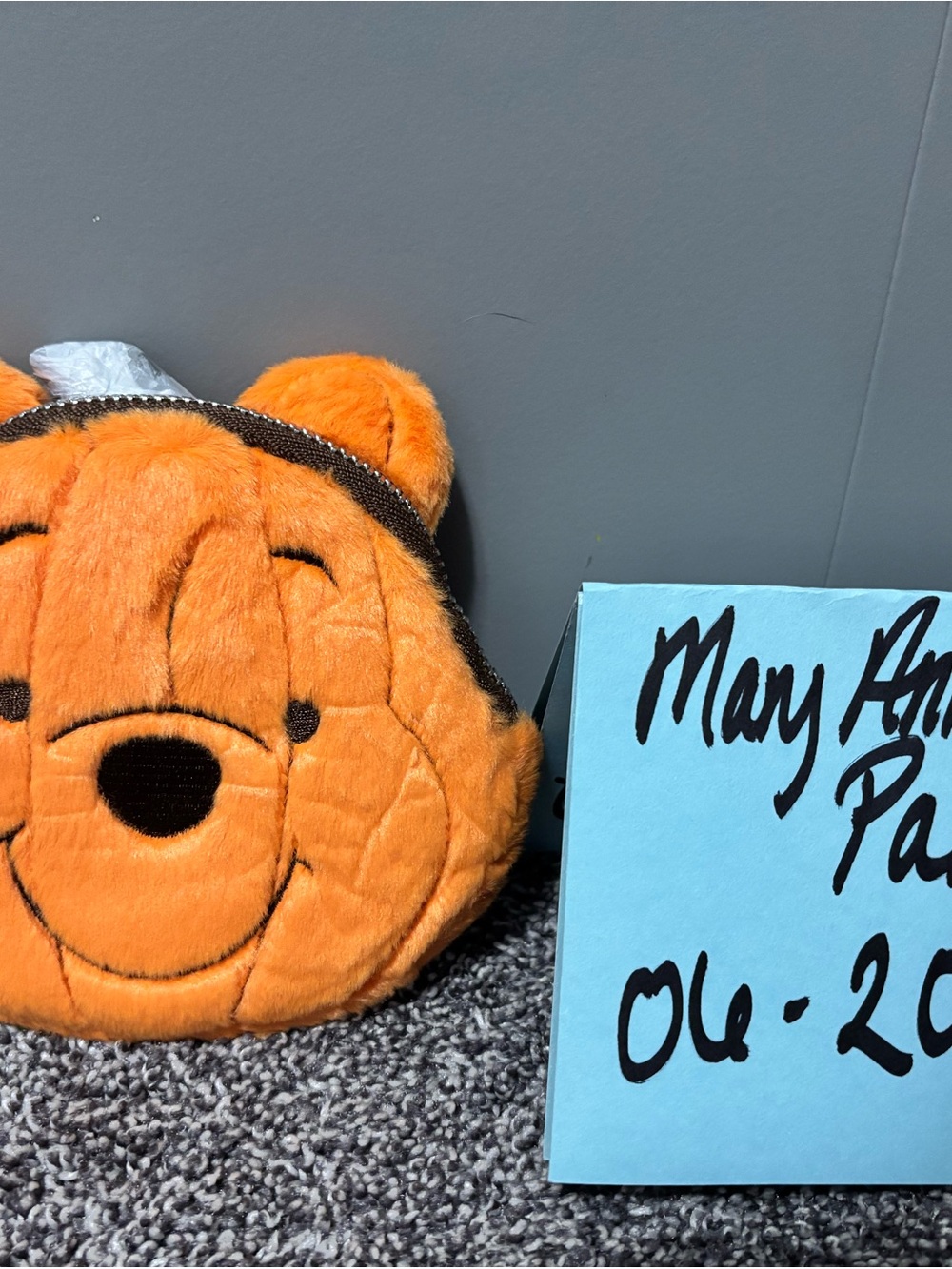Loungefly Orange Winnie the Pooh pumpkin Plush Coin Purse